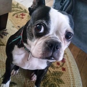 Meet your Posher, Erin